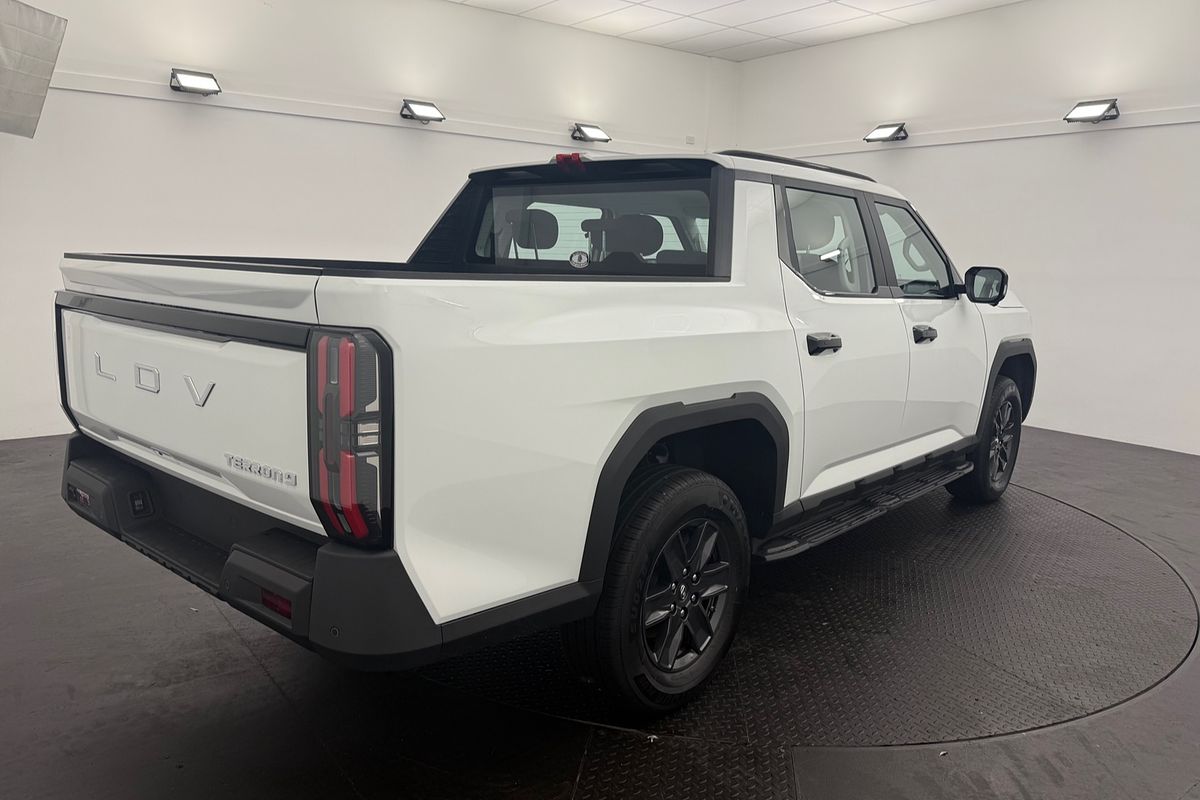 2025 LDV Terron 9 Origin EKK1C 4X4