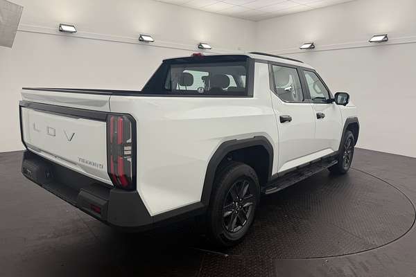 2025 LDV Terron 9 Origin EKK1C 4X4