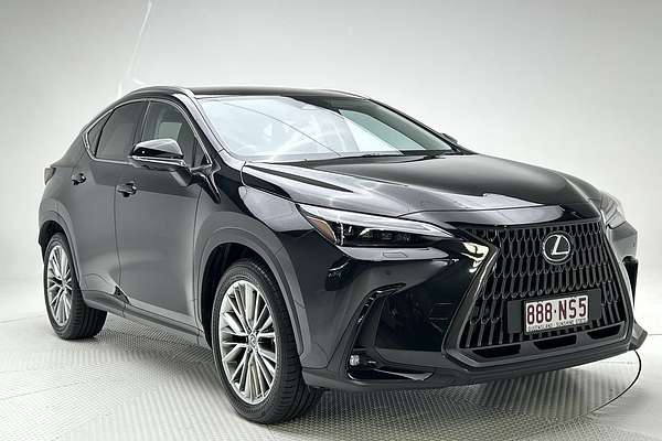 2024 Lexus NX NX350h Sports Luxury AAZH20R
