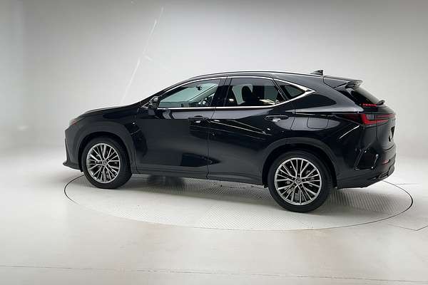 2024 Lexus NX NX350h Sports Luxury AAZH20R