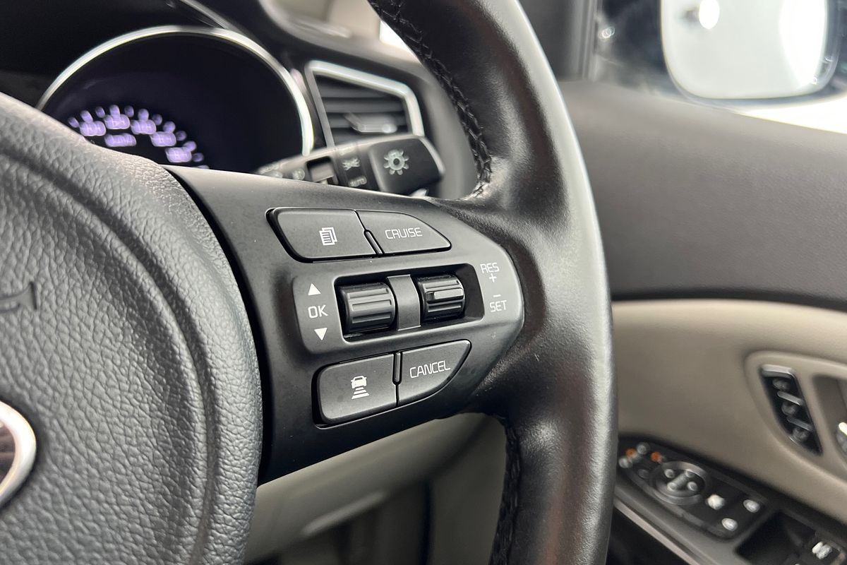 2018 Kia Carnival Platinum YP