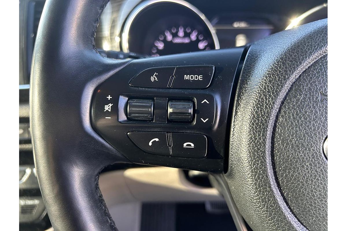 2019 Kia Carnival Platinum YP