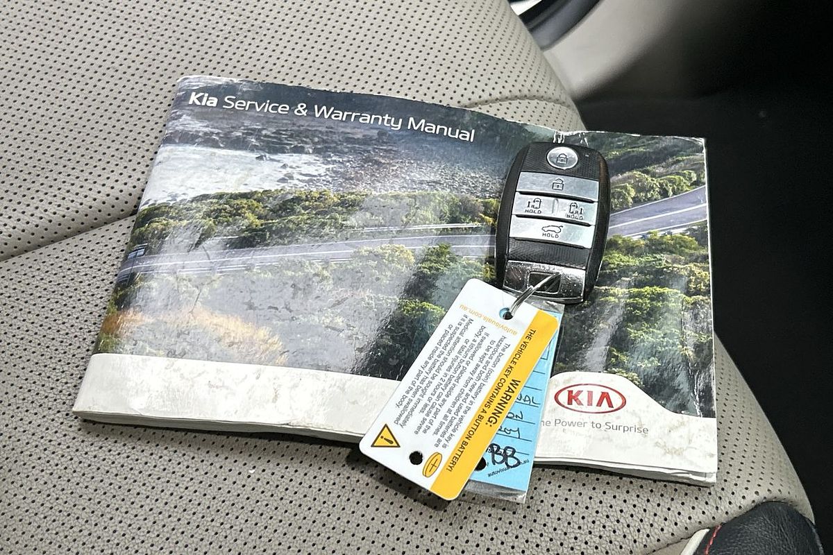 2019 Kia Carnival Platinum YP
