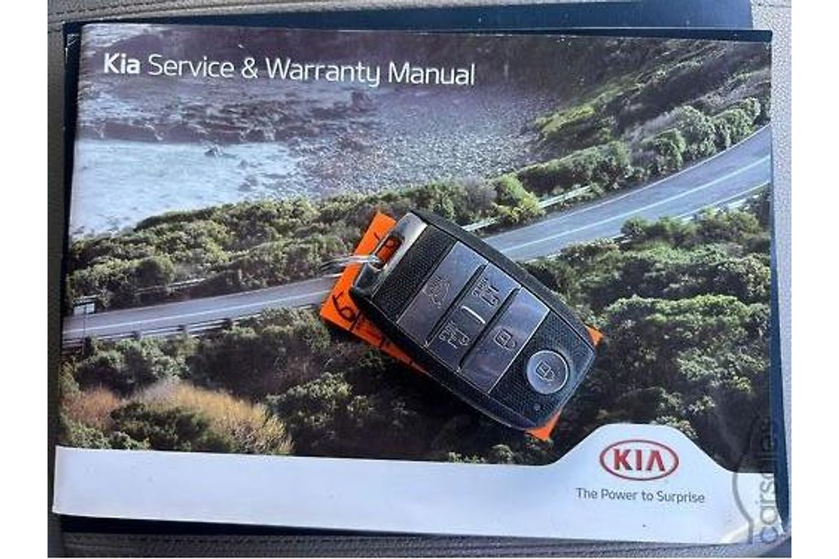 2019 Kia Carnival Platinum YP