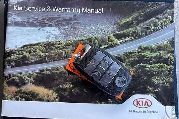 2019 Kia Carnival Platinum YP