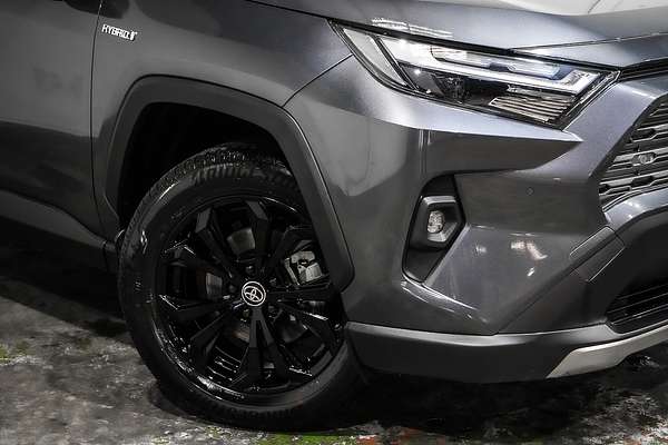 2024 Toyota RAV4 Cruiser AXAH54R