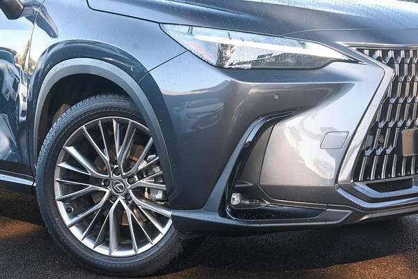 2024 Lexus NX NX350h Sports Luxury AAZH25R