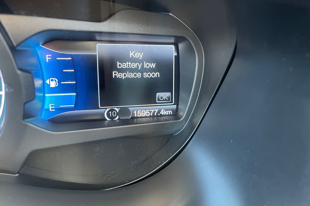 2019 Ford Ranger XLT Hi-Rider PX MkIII Rear Wheel Drive 3.2L