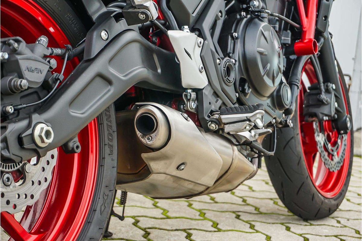 2024 Kawasaki z650