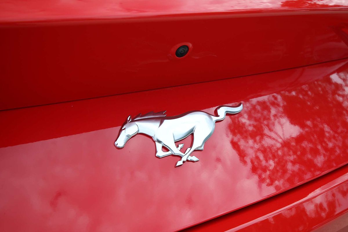 2024 Ford Mustang Ecoboost FO