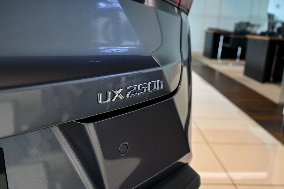 2021 Lexus UX250h UX250h Luxury 2.0L Hybrid Auto E-CVT SUV MZAH10R