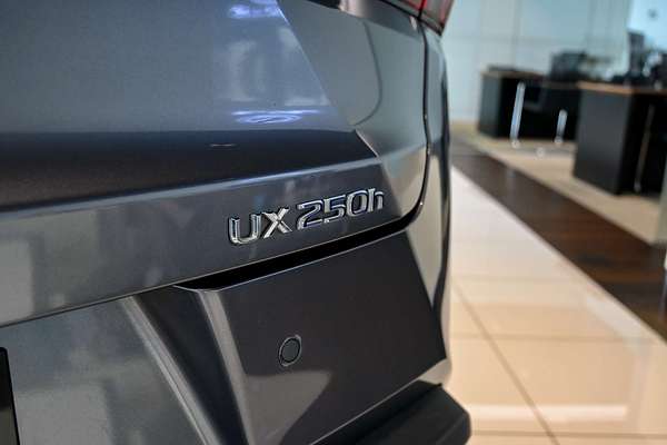 2021 Lexus UX250h UX250h Luxury 2.0L Hybrid Auto E-CVT SUV MZAH10R