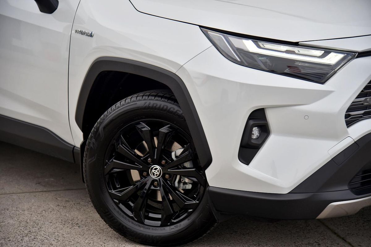 2024 Toyota RAV4 Cruiser AXAH52R