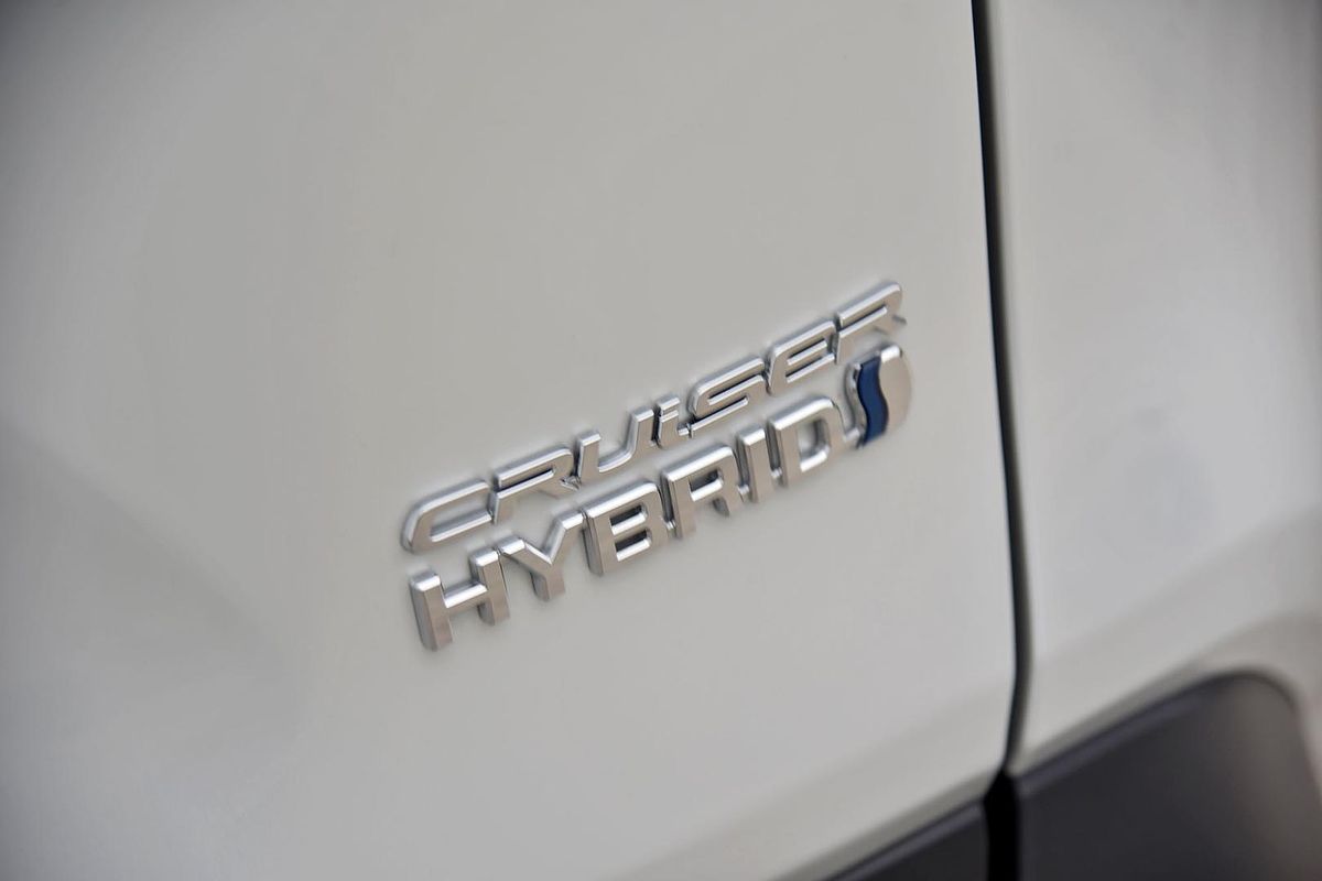 2024 Toyota RAV4 Cruiser AXAH52R