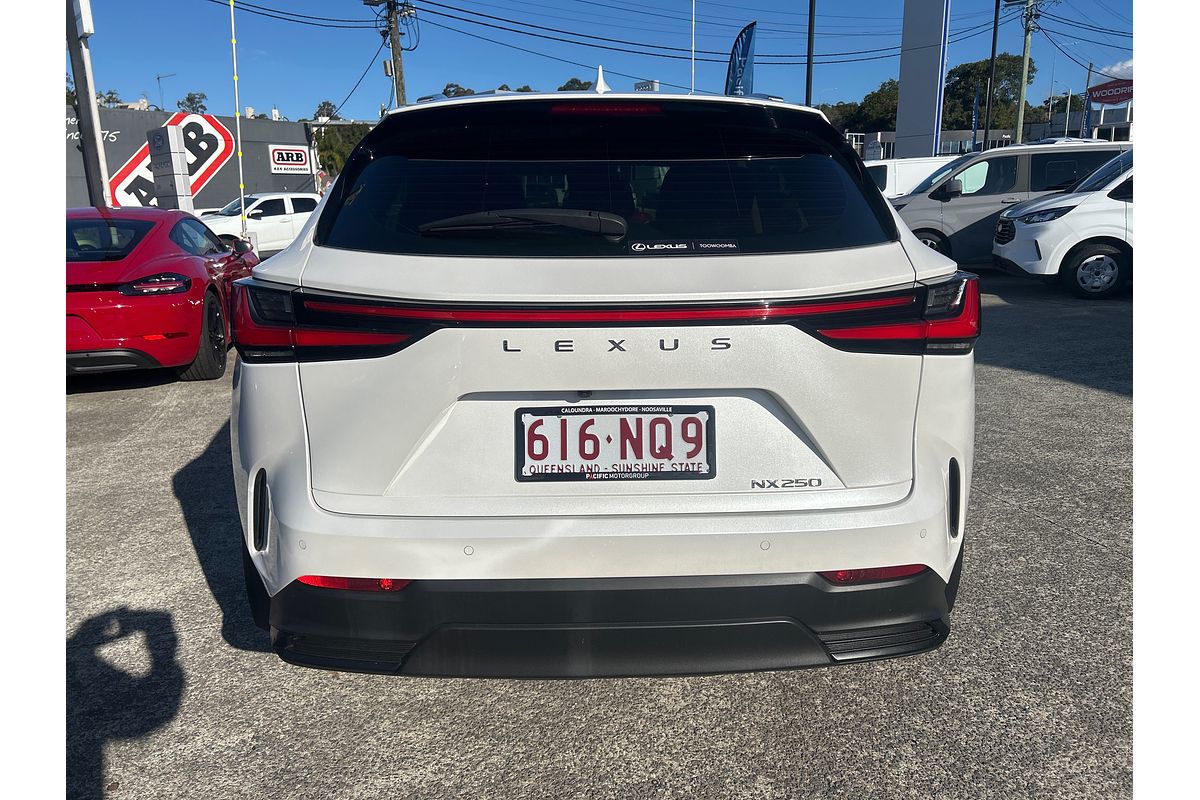 2021 Lexus NX NX250 AAZA20R