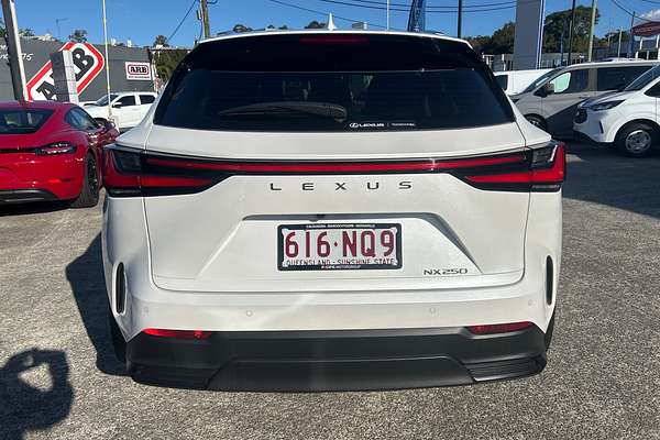 2021 Lexus NX NX250 AAZA20R