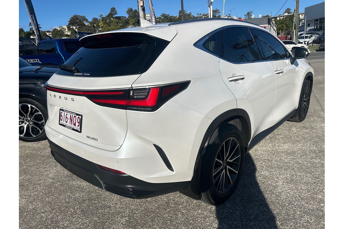 2021 Lexus NX NX250 AAZA20R