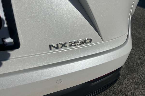 2021 Lexus NX NX250 AAZA20R