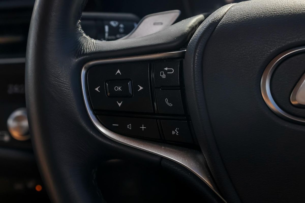 2023 Lexus ES ES250 Luxury AXZA10R