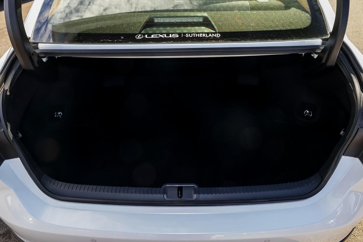 2023 Lexus ES ES250 Luxury AXZA10R