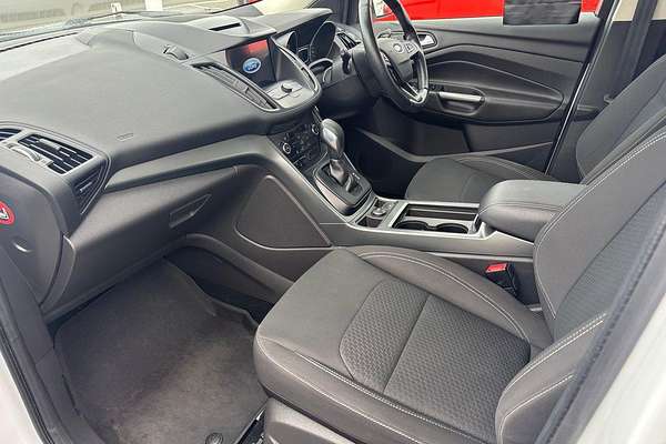 2019 Ford Escape Trend ZG