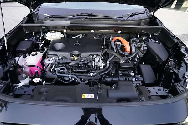2021 Toyota RAV4 Cruiser AXAH54R