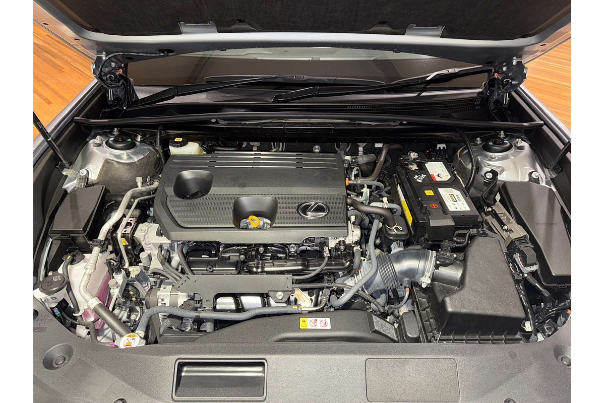 2022 Lexus ES ES250 Luxury AXZA10R