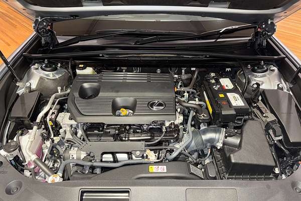 2022 Lexus ES ES250 Luxury AXZA10R