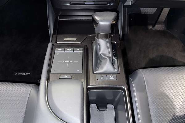 2022 Lexus ES ES250 Luxury AXZA10R