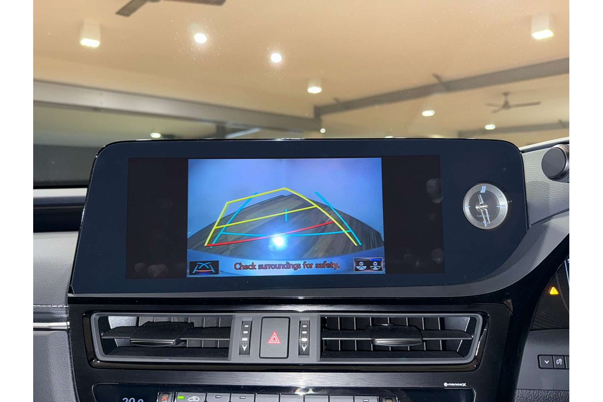 2022 Lexus ES ES250 Luxury AXZA10R