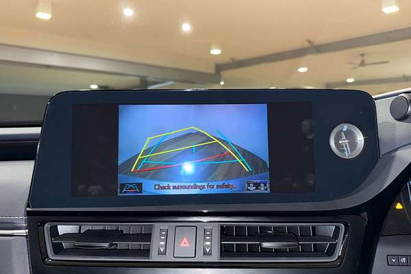 2022 Lexus ES ES250 Luxury AXZA10R