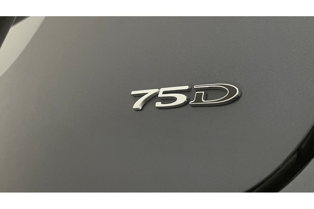 2017 Tesla Model X 75D