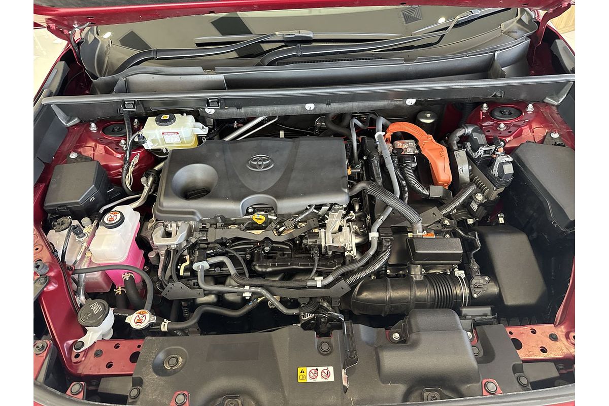 2020 Toyota RAV4 Cruiser AXAH54R