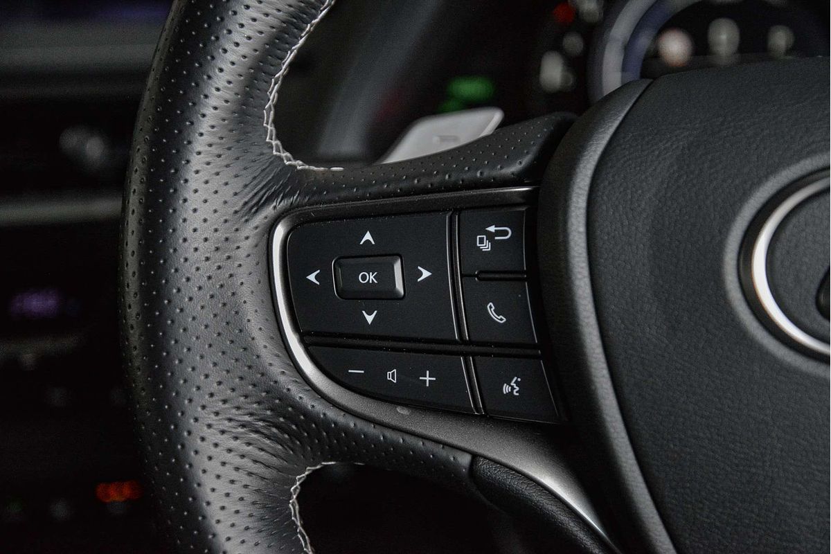 2021 Lexus UX UX250h F Sport MZAH10R