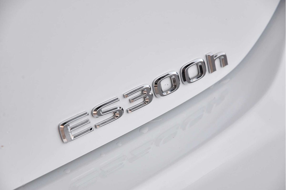 2023 Lexus ES ES300h F Sport AXZH10R
