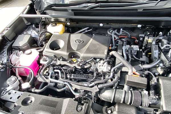 2024 Toyota RAV4 Cruiser AXAH52R