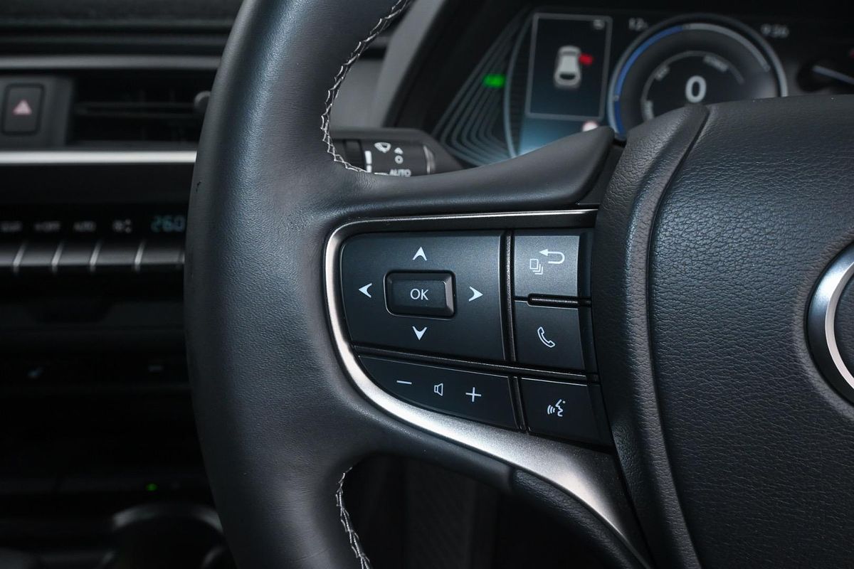 2021 Lexus UX UX250h Luxury MZAH10R