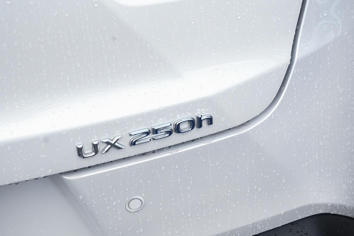 2021 Lexus UX UX250h Luxury MZAH10R