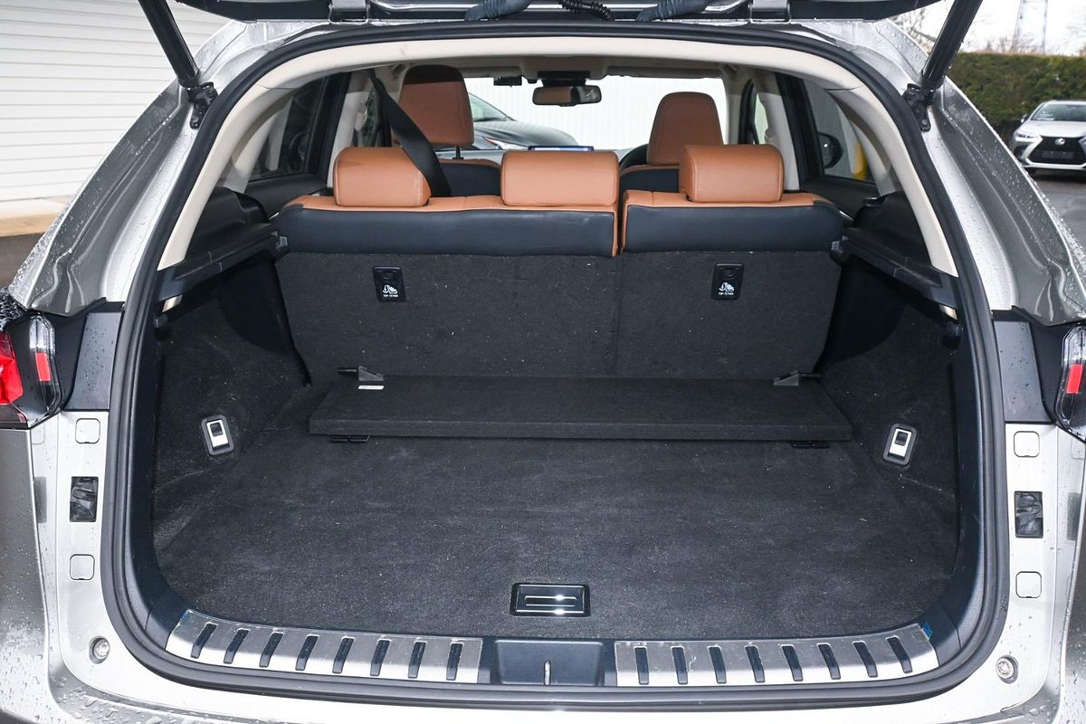 2020 Lexus NX NX300 Luxury AGZ10R