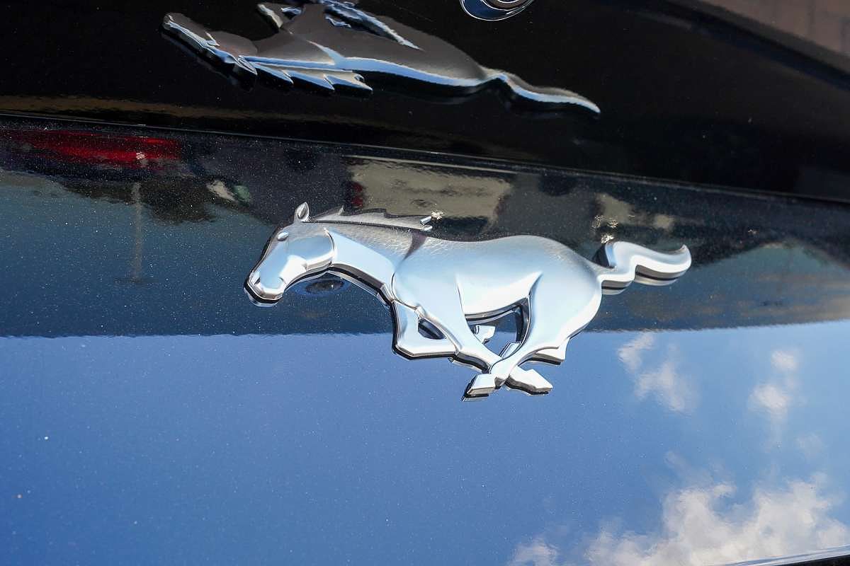 2025 Ford Mustang Ecoboost FO