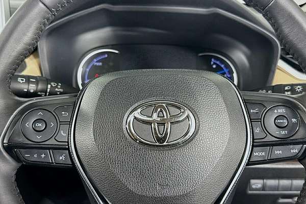 2019 Toyota RAV4 Cruiser AXAH52R