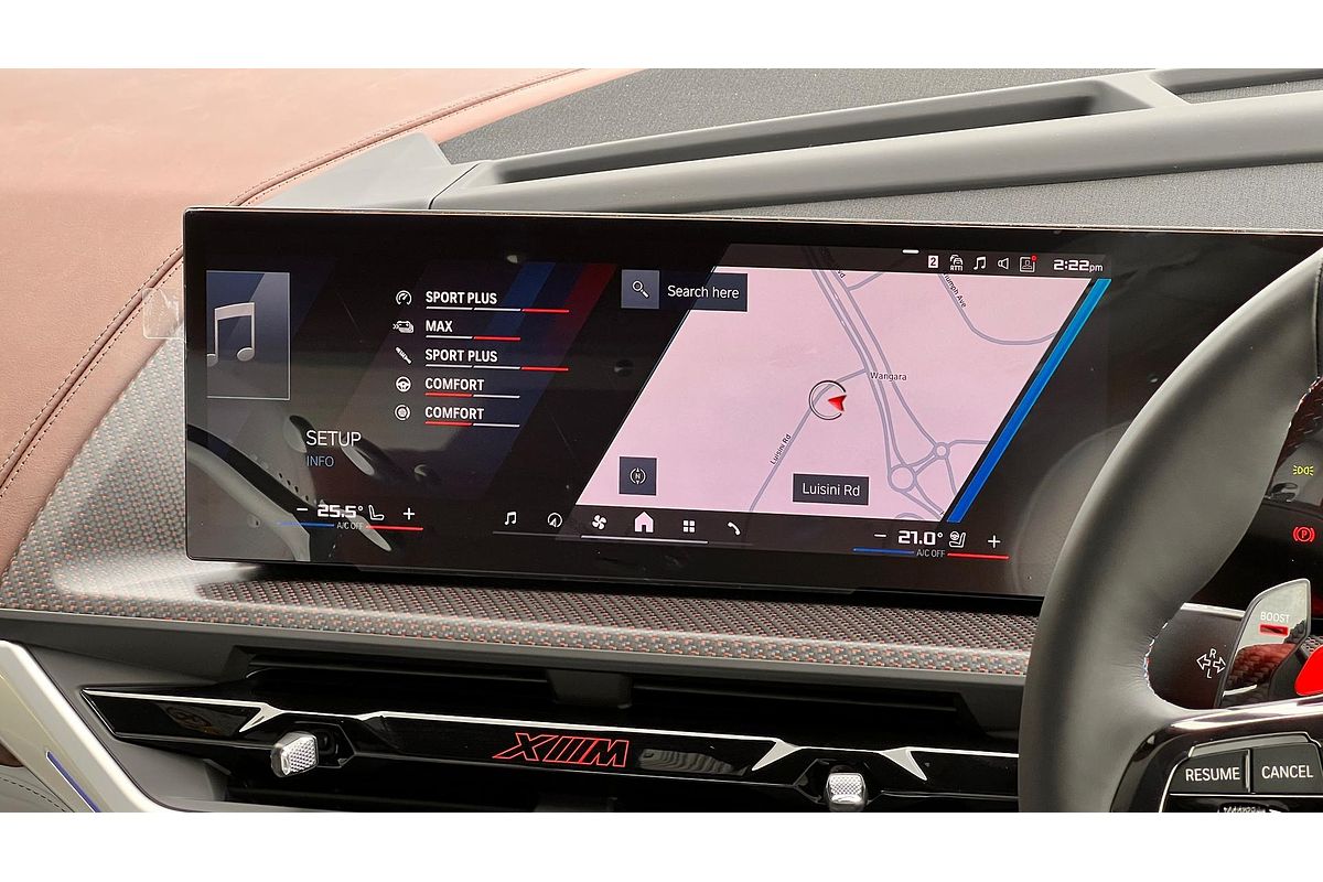 2025 BMW XM Label G09
