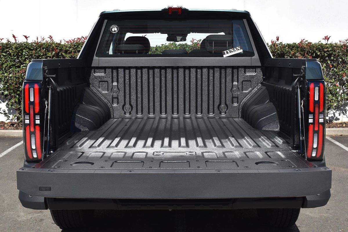 2025 LDV Terron 9 Origin EKK1C 4X4