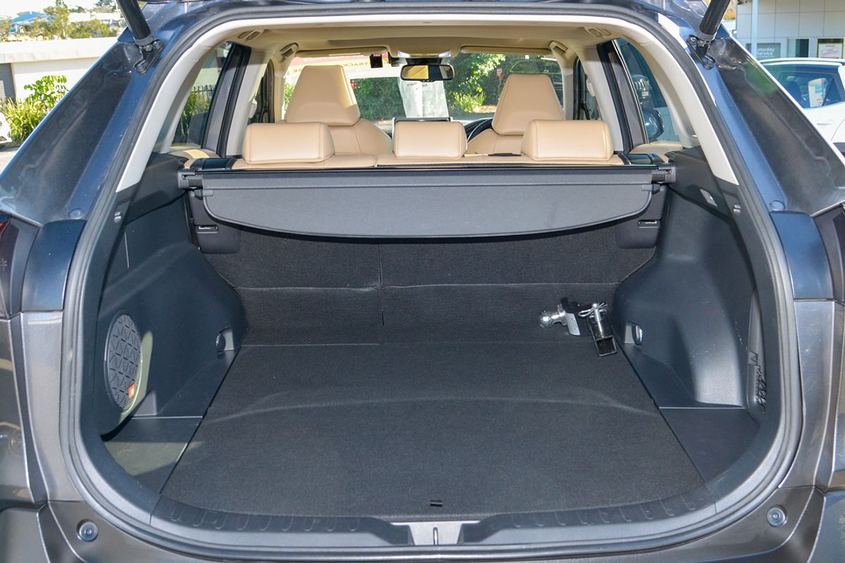 2020 Toyota RAV4 Cruiser AXAH52R