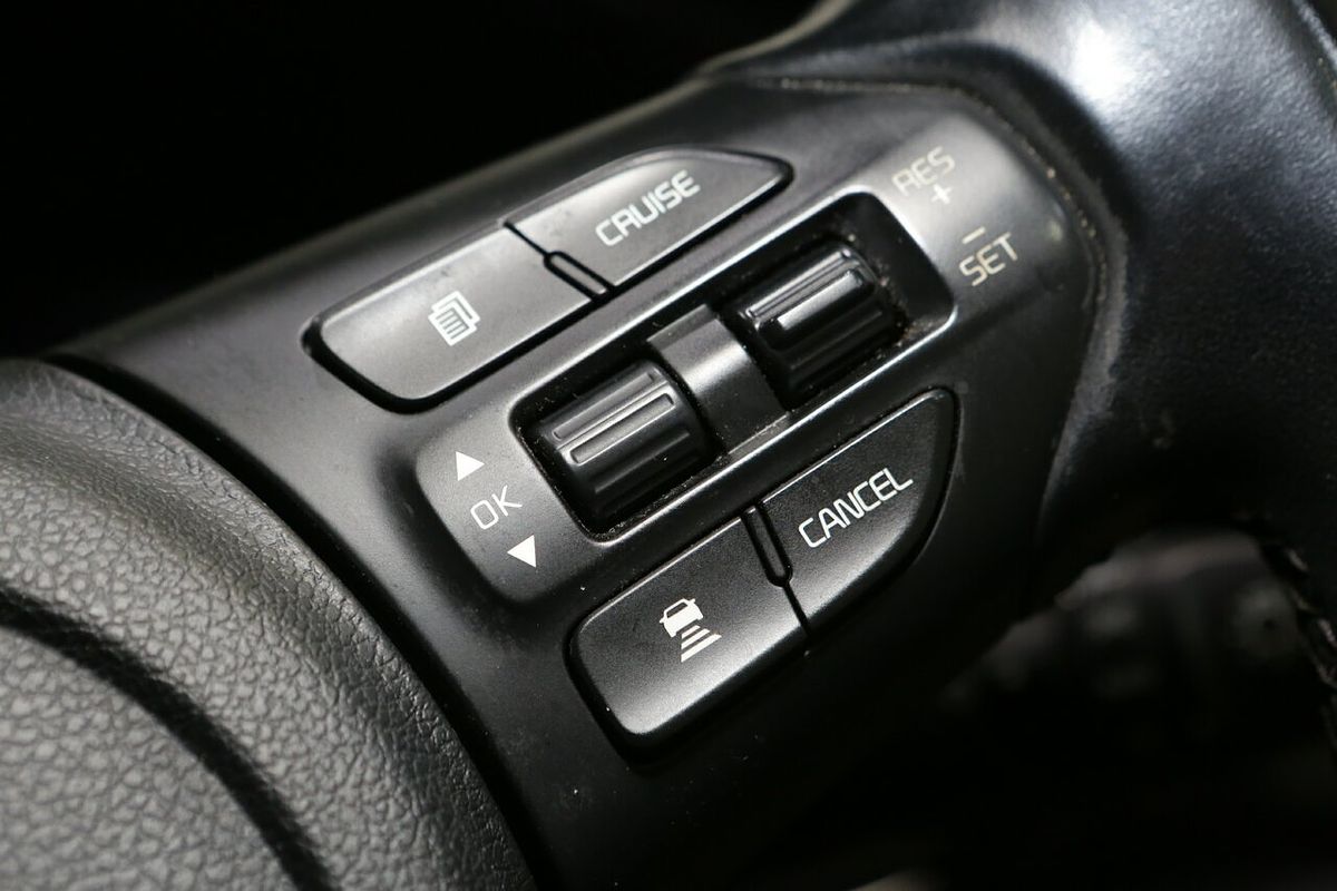 2019 Kia Carnival Si YP