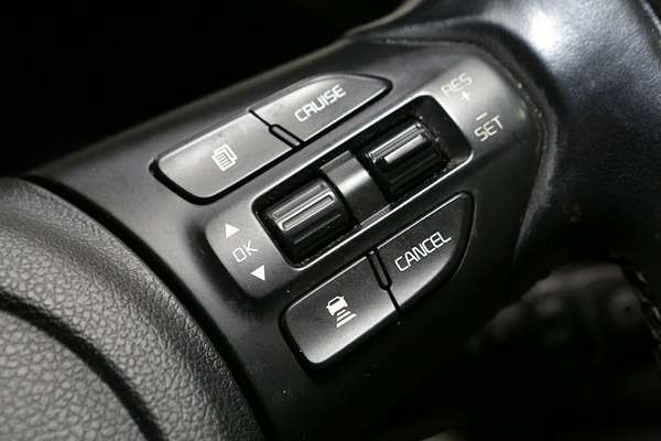 2019 Kia Carnival Si YP