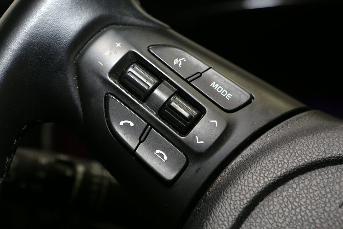 2019 Kia Carnival Si YP