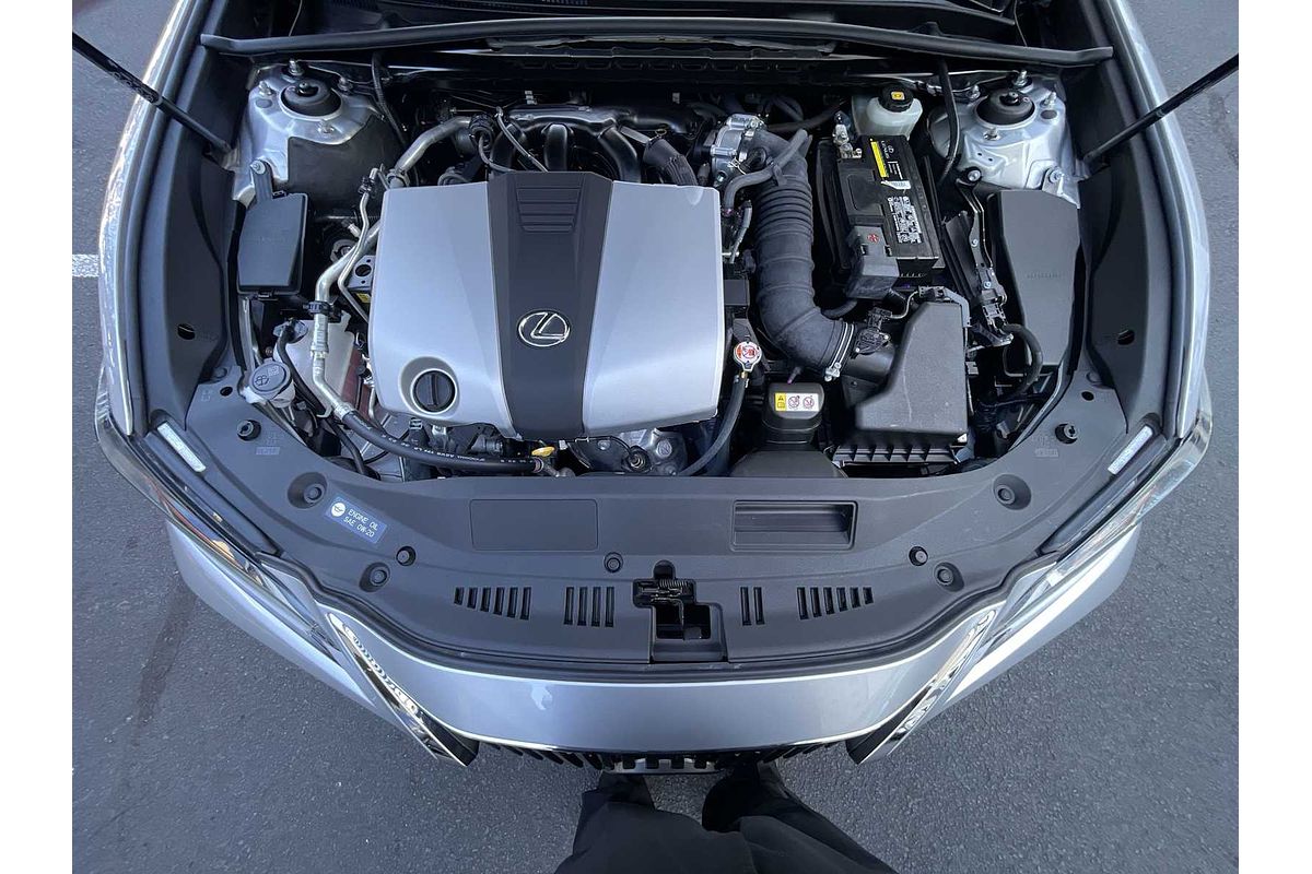 2019 Lexus ES Luxury