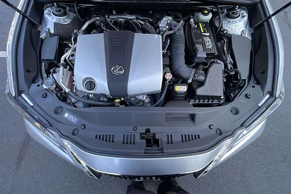 2019 Lexus ES Luxury