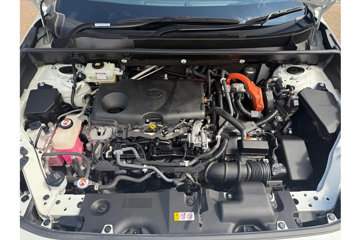 2020 Toyota RAV4 Cruiser AXAH54R